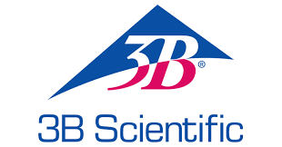 3B SCIENTIFIC